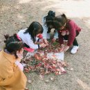 애육어린이집 이미지