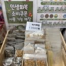 여주-0452 | 여주 앵무새카페 리프패럿 방문 후기 (먹이체험 가능) / 아이와 가볼만한곳