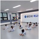 용인대 엄지태권도 | 매교 태권도 추천 용인대매교태권도장 만족이용후기