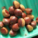 람세스한우농장 이미지