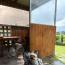 스며들397펜션 이미지