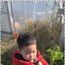 행복한도담어린이집 이미지