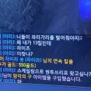 진량동물병원 | 거제도 여행 추천/합천 더일리/경남 여행추천