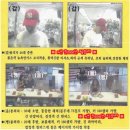 태양다방 이미지