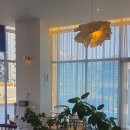 딜라잇 | 부산명지카페 샤인딜라잇 후기