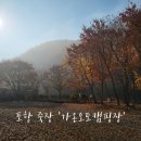 포항 죽장면 가온오토캠핑장 대구 근교 가을캠핑 후기