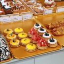 더마레 104 이미지