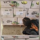 희망농산 - 안동시 제비원로 82 | 20kg 절임배추 포기수·상태·마감 일정 다인농산해남 절임배추