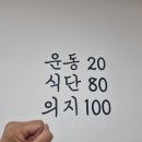 티나핏
