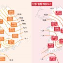 더비치라데나