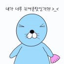 소심생활