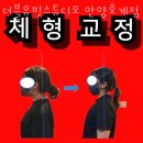 더블유핏