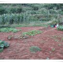 갈릴리농장 이미지