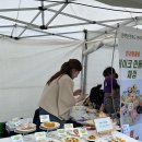 댕냥밥상 이미지