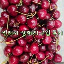 썬리지 | 썬리지 생체리 10R 대과 1kg 톡딜 구입 후기