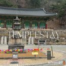 동해 삼화사 템플스테이 뚜벅이 솔직후기