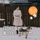 풀스테이더네이쳐홍천P | [진돗개동반] 풀스테이 스테이펫 홍천 후기 | 풀빌라 독채펜션 | 견종, 무게제한 프리 🪽