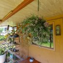 쿠시쿠시하우스 이미지