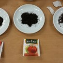 티마스터과정 이미지