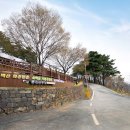 소백산자연휴양림 이미지