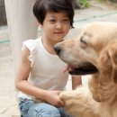 고마워, 강아지 이미지