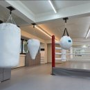 스타복싱클럽 연천 이미지