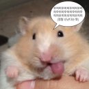 냠냠 이미지