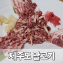 제주교래승마장