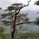 홍천(양양) 이미지