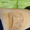 헌혈의집 하단센터 이미지