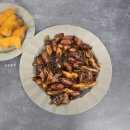 웃기는짜장떡볶이