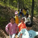 청미래약국 이미지