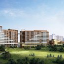 소노캄 델피노 A . B 이미지