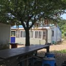 얼음골막걸리 이미지