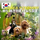 미나애견 | 실내외 운동장 넓은 반려견 카페 찾는다면? 용인 애견카페 테일즈 파크