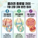 건기식전문점 | 에버콜라겐 종류 성분 효능 유행 이유 완전 정리 — 먹는 콜라겐 진짜 효과 있을까