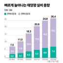 남아도는 태양광이 문제? 올 봄 때아닌 '블랙아웃' 공포 이미지