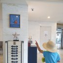 아라민박 | 제주도 아이와 갔던 숙소 후기(에스뜨레야,제주도작은집,애월트윈픽스,아라스테이펜션,아이미제주비치호텔)