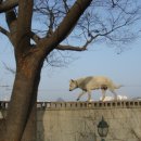 몸살림운동 이미지