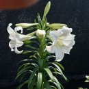 해천농장 이미지