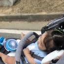 세희농장 이미지