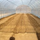 동산농장(2) 이미지