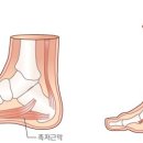 강남보성한의원 이미지