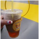 얼렁오시개 | 안산 애견호텔 애견카페 얼렁오시개 방문후기