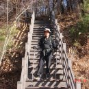 만고강산 이미지