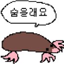 애드샤이