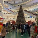 넘버25영등포점(영등포테마) | [12월 서울 가볼만한곳] 영등포타임스퀘어 2025 크리스마스 트리 포토존 방문후기