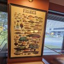 (주)터치마인 이미지