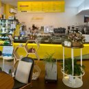 옐로우 스케일 이미지