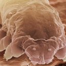 바디플레이스 이미지